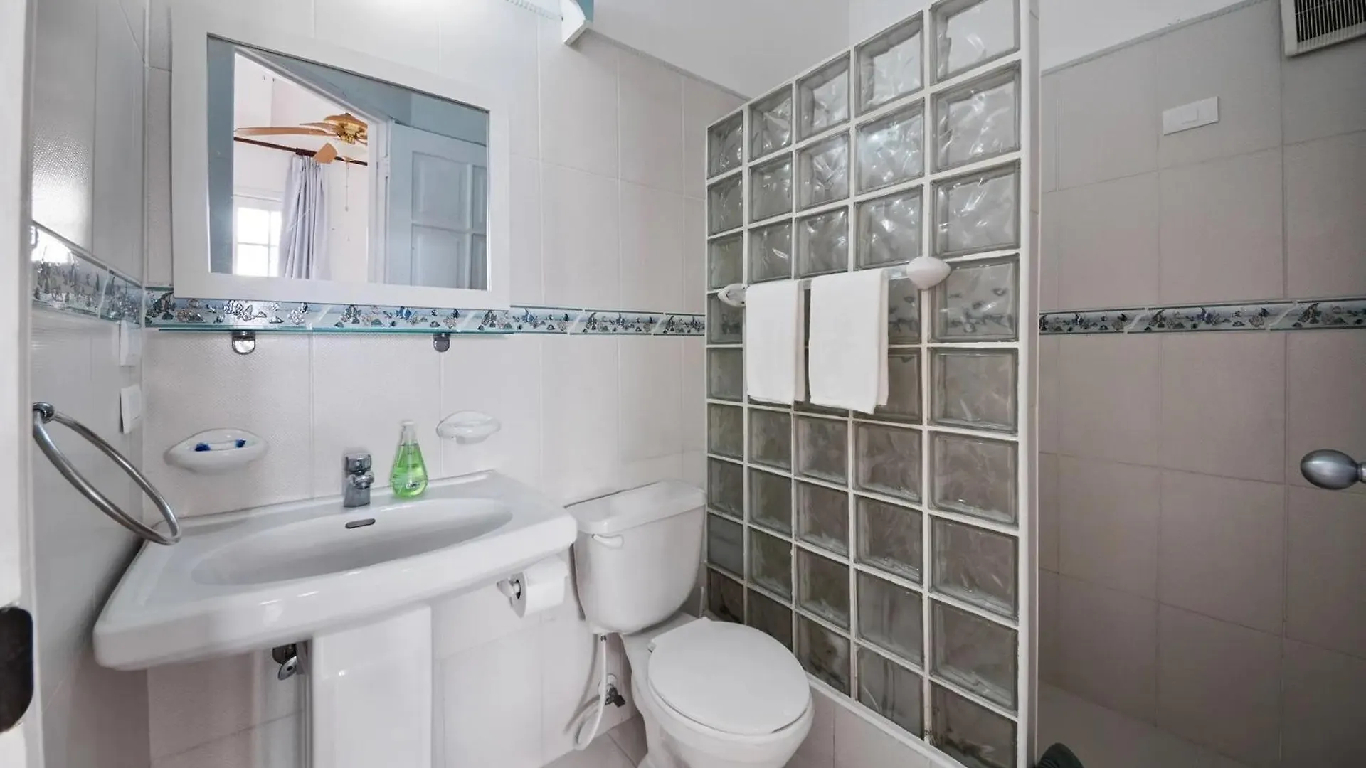 Brisas Doradas Beachfront Villa Καμπαρέτε Δομινικανή Δημοκρατία