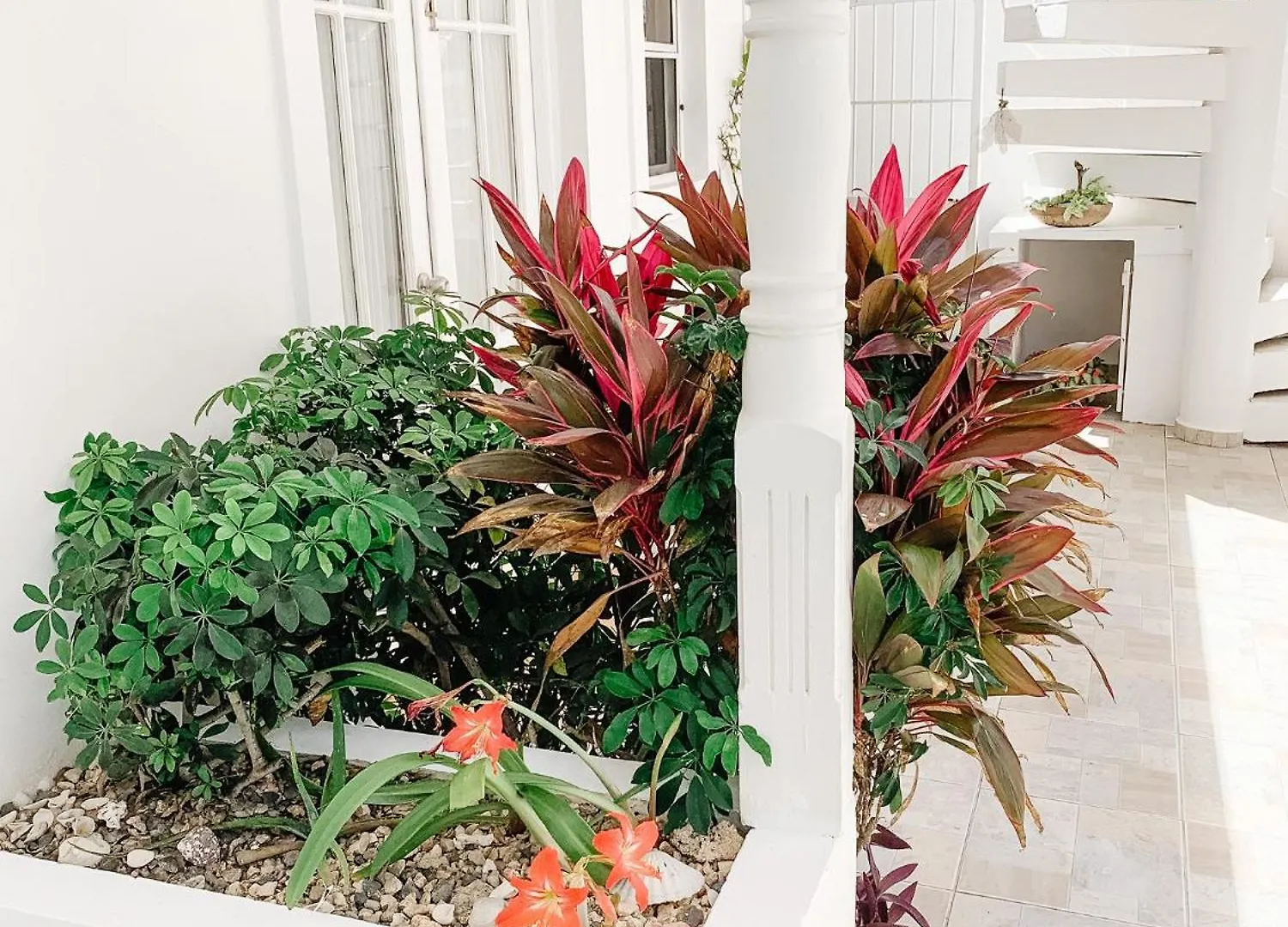 Brisas Doradas Beachfront Villa Καμπαρέτε Δομινικανή Δημοκρατία
