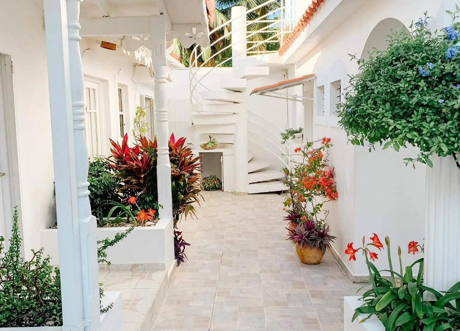 Brisas Doradas Beachfront Villa Καμπαρέτε 0*,  Δομινικανή Δημοκρατία